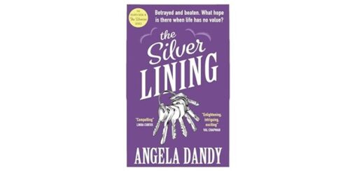 Feature Image - The Silver Lining by Angela Dandy